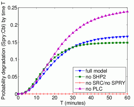 graph plotting the probability that phosphoSpry binds Cbl and degrades FRS2 by time T