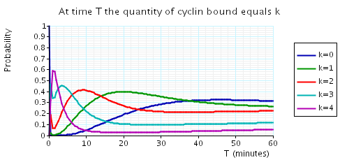 Cyklin Image Graph PRISM - Case Studies - Cell Cycle Control in Eukaryotes